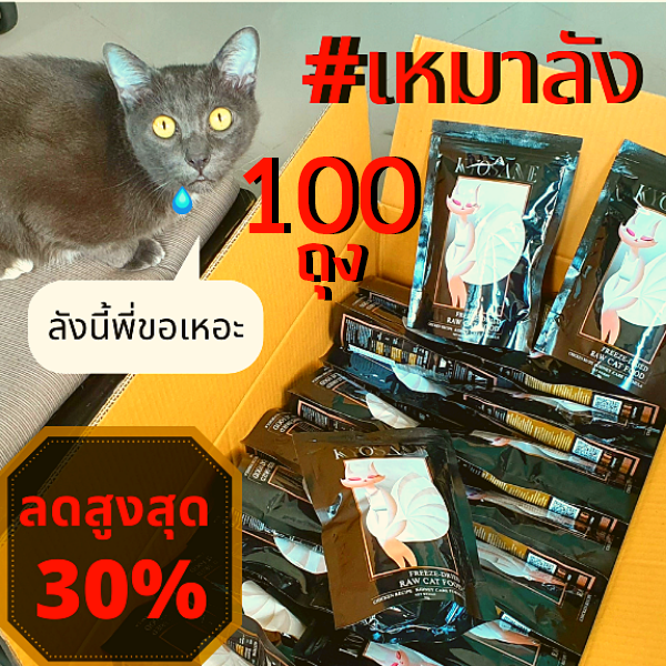 Kyosane Freeze-Dried Raw Cat Food Chicken Recipe Kidney Care Formula (100 packs) 35% Off (ลดล้างสต๊อก)