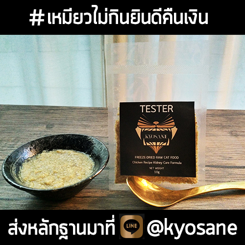 TESTER Kyosane Freeze-Dried Raw Cat Food Chicken Recipe Kidney Care Formula 